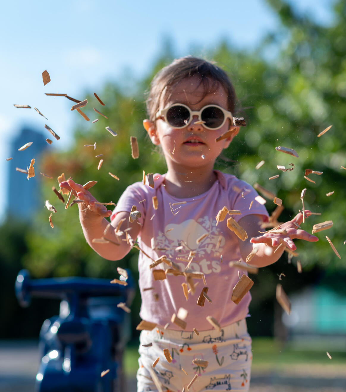 Collie dog with soft expressive eyes posing outdoors.
