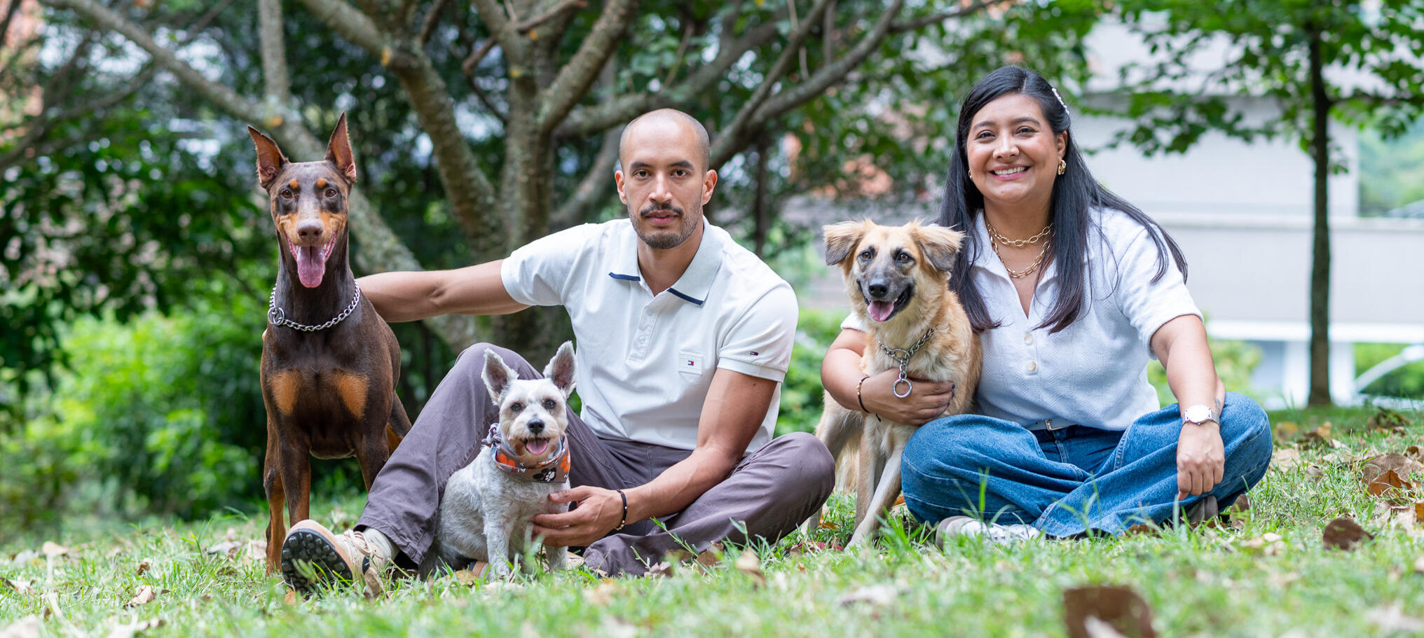 Family sitting on grass with their dogs during an outdoor photoshoot in Mississauga — natural family and pet photography.