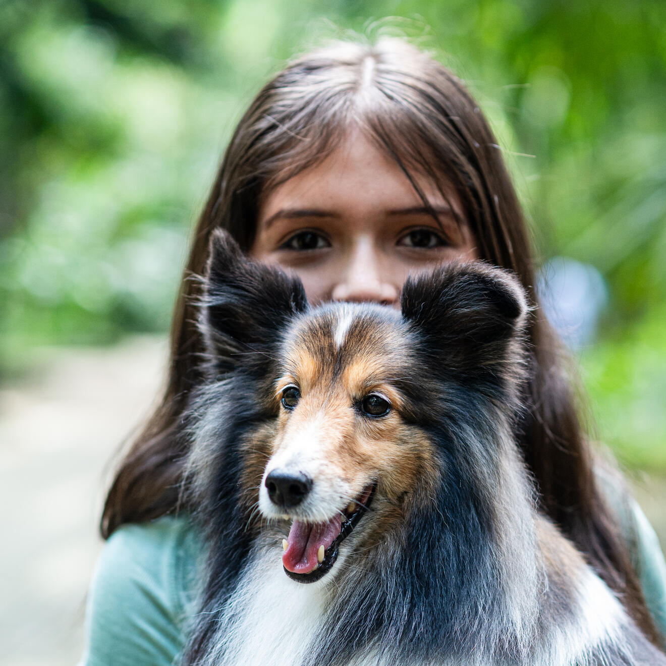 A girl holding a smiling Shetland sheepdog outdoors
